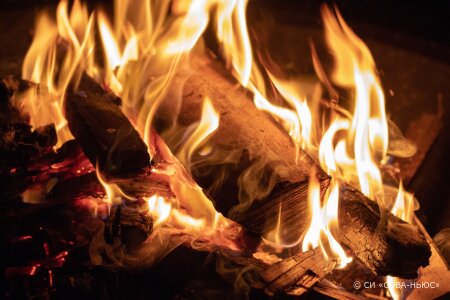 В печи дома пропавшей в Новгородской области девочки найдены обгоревшие кости