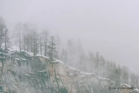 Мужчина и его семилетний сын пропали, катаясь на снегоходе в Заполярье