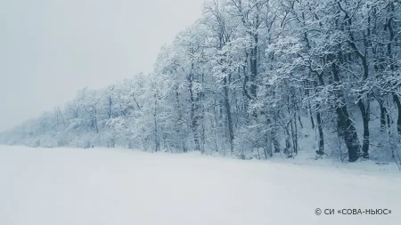 Пропавшие в Мурманской области отец с сыном вышли на связь, у них сломался снегоход