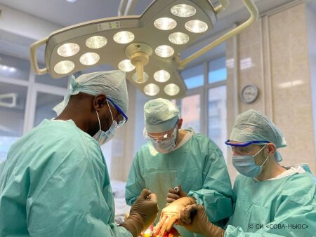 Ученые Саратовского медицинского университета разработали новую конструкцию имплантатов для суставов