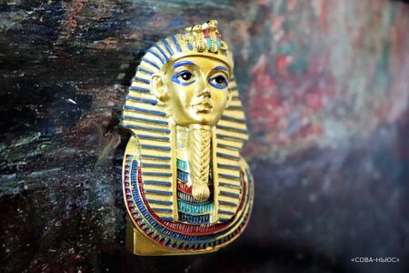 В Пушкинском музее открылась выставка о древнеегипетских мумиях