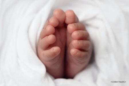 В Чехове скончался 11-месячный младенец, которого мать оставила спать на улице