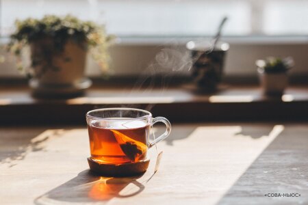 На Кубани предлагают собственный чай вместо импортного