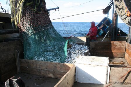 Российские рыбаки продолжают ловить рыбу в водах Великобритании