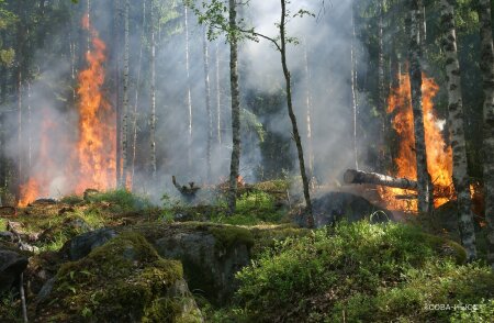 Природные пожары окружили Сибирь и Дальний Восток