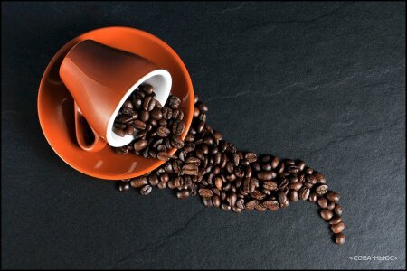 Финский производитель кофе Paulig продал бизнес в России