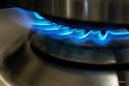 Болгария сожалеет о решении отказаться от оплаты российского газа в рублях
