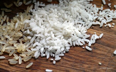 В России могут запретить экспорт риса