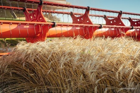 Страны G7 не будут вводить санкции на импорт сельхозпродукции