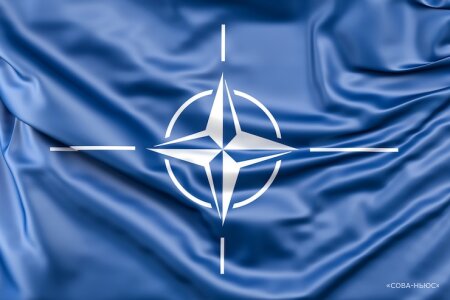 Анкара поддержит вступление Швеции и Финляндии в блок НАТО