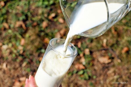 В Госдуме предложили разливать молоко в бидоны