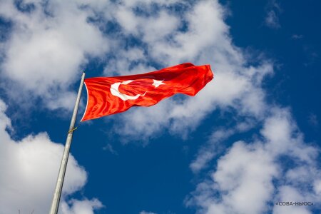 Турция намерена отложить на год рассмотрение заявки Швеции и Финляндии по вступлению в НАТО