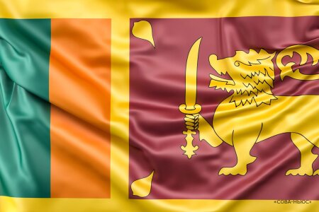 Протестующие на Шри-Ланке захватили дом президента и подожгли дом премьер-министра