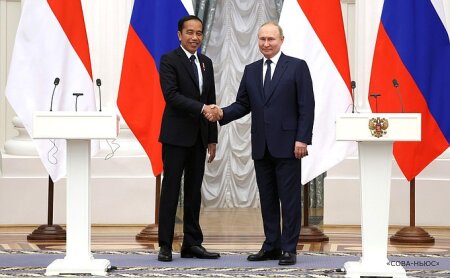 Россия выразила готовность помочь Индонезии в переносе столицы