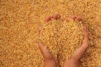 Представители России, Турции и ООН подписали соглашение по “зерновому вопросу”