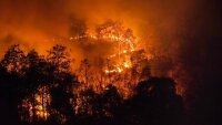 Площадь лесных пожаров в России выросла на 10% за сутки