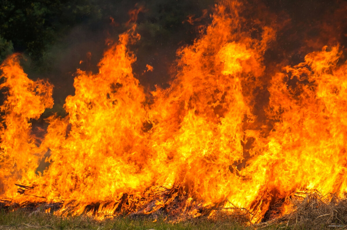 Продолжается борьба с пожарами в Рязанской области