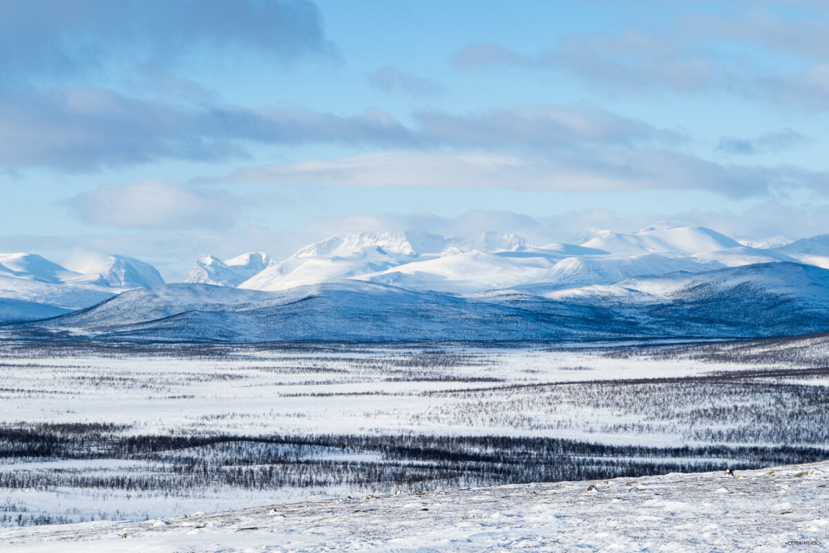 Более 7 тысяч человек подали заявки на получение "Гектара в Арктике"