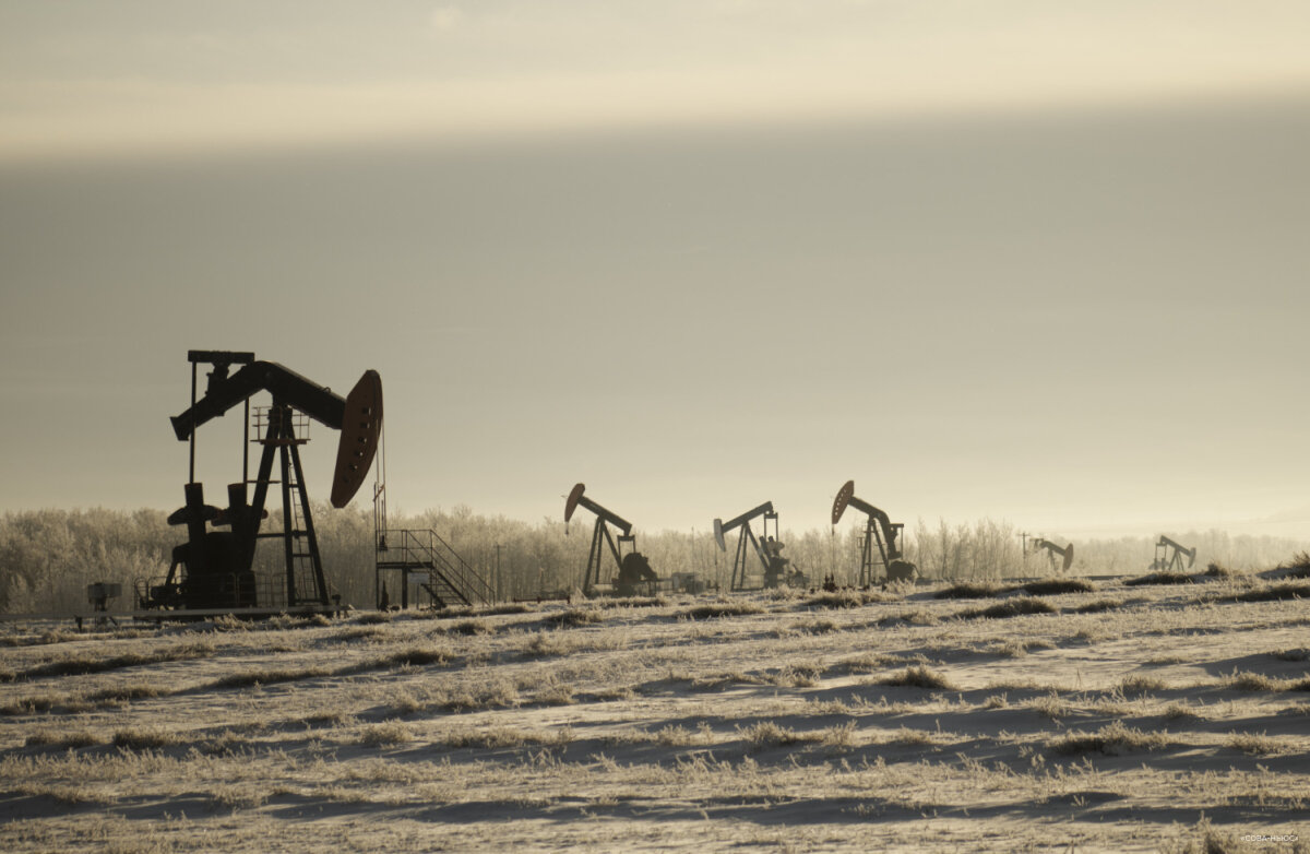 Доходы России от продажи нефти в июле снизились на $2 млрд