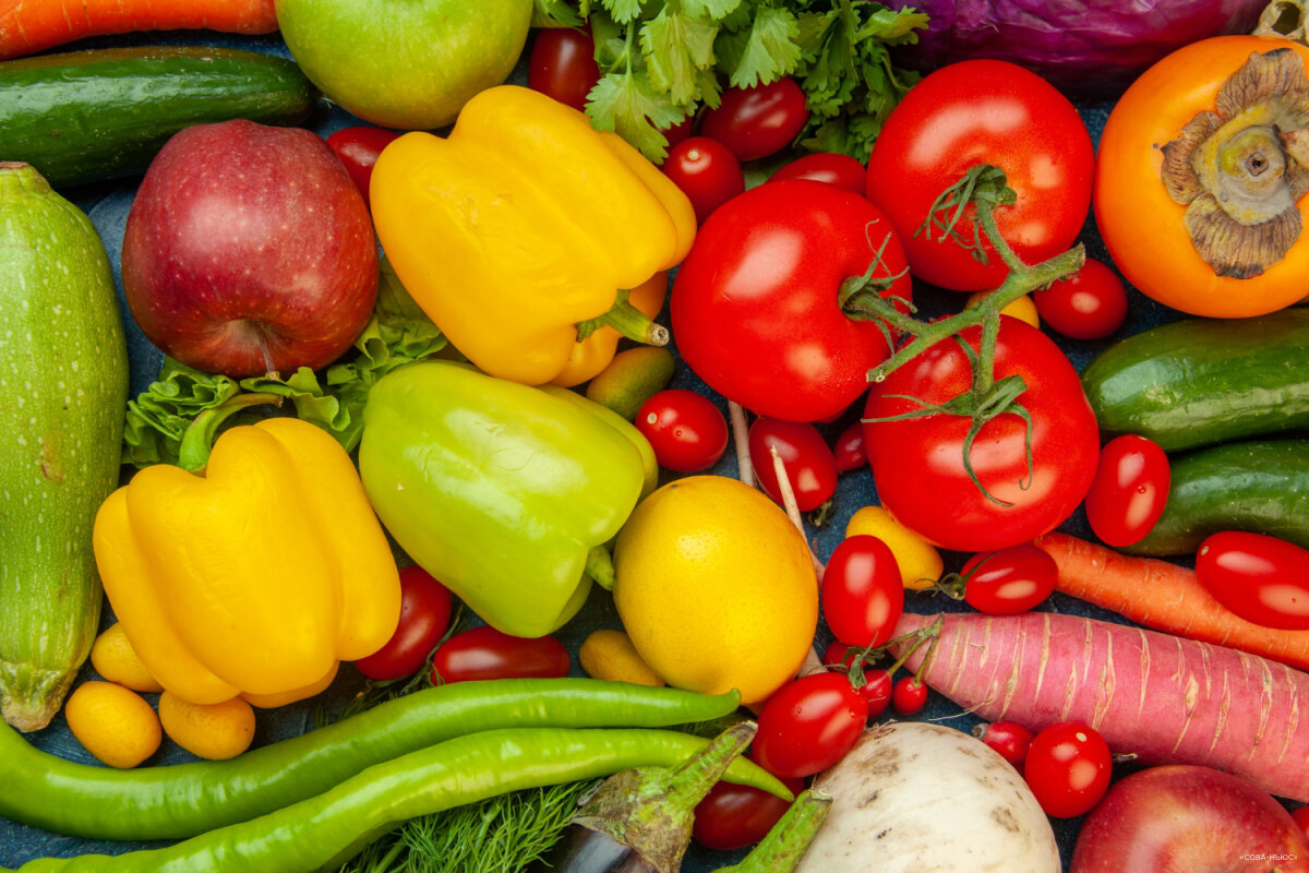 В России собран рекордный урожай тепличных овощей