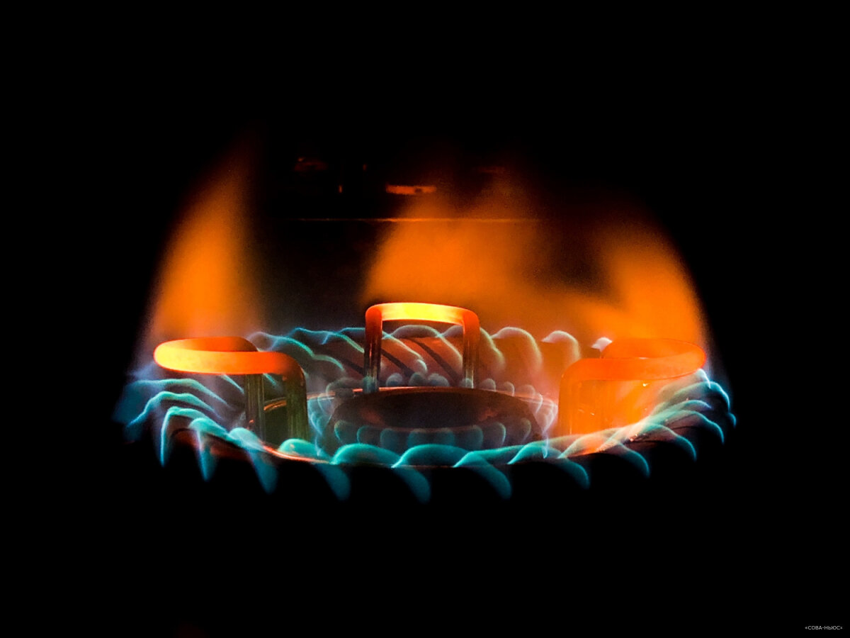 Германия обвинила Вашингтон и Брюссель в завышении цен на газ