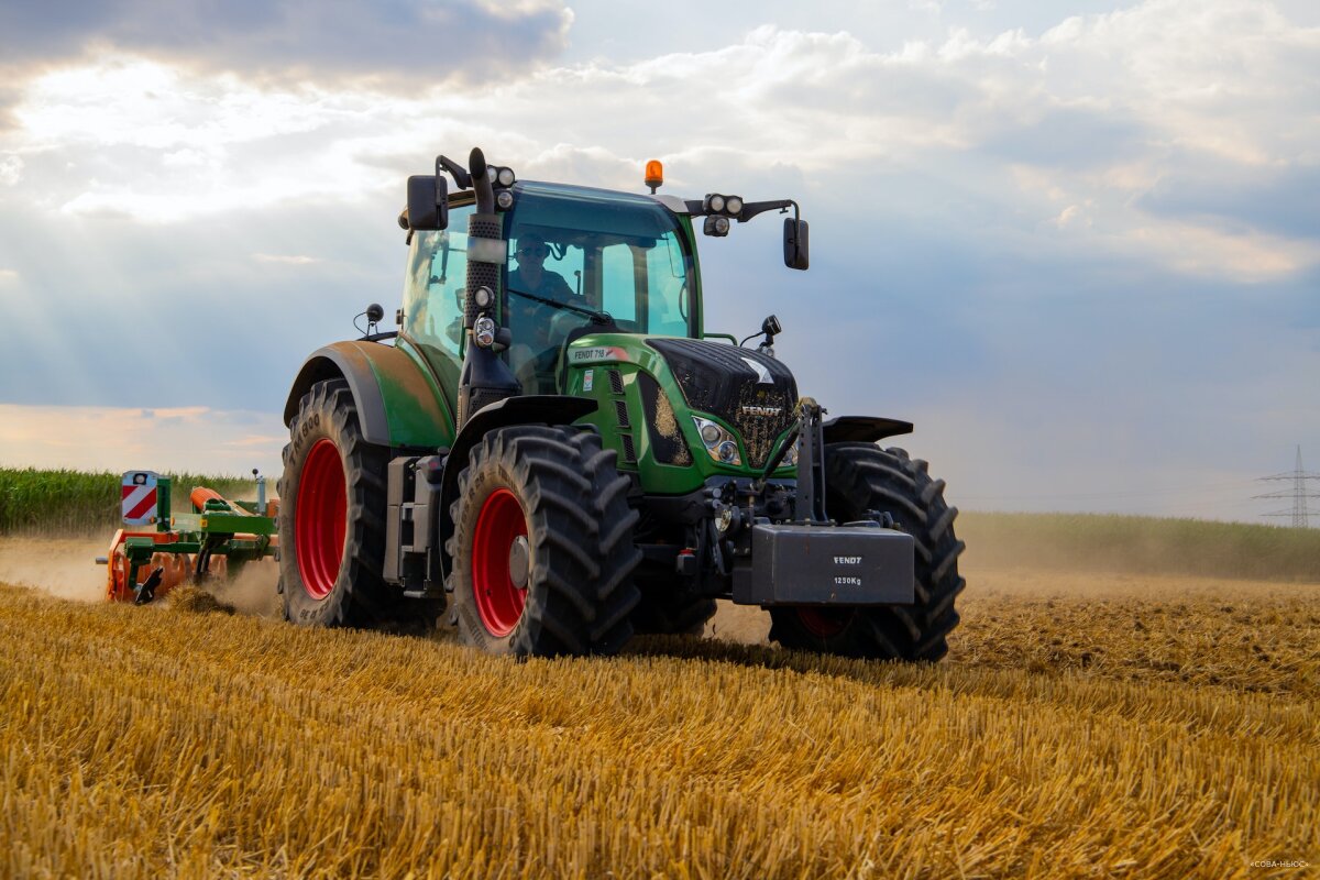 Россия в этом году собрала рекордный урожай зерна