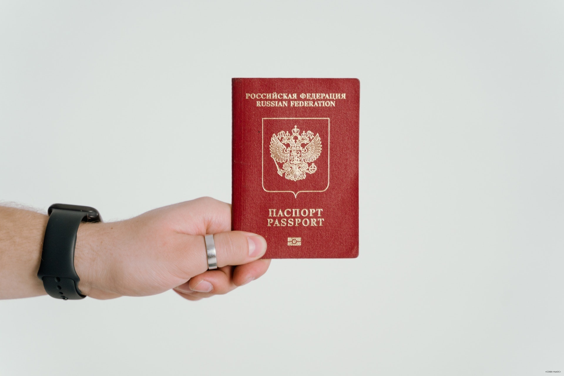 В России могут остановить выдачу паспортов из-за отсутствия принтеров, которые в стране не производят