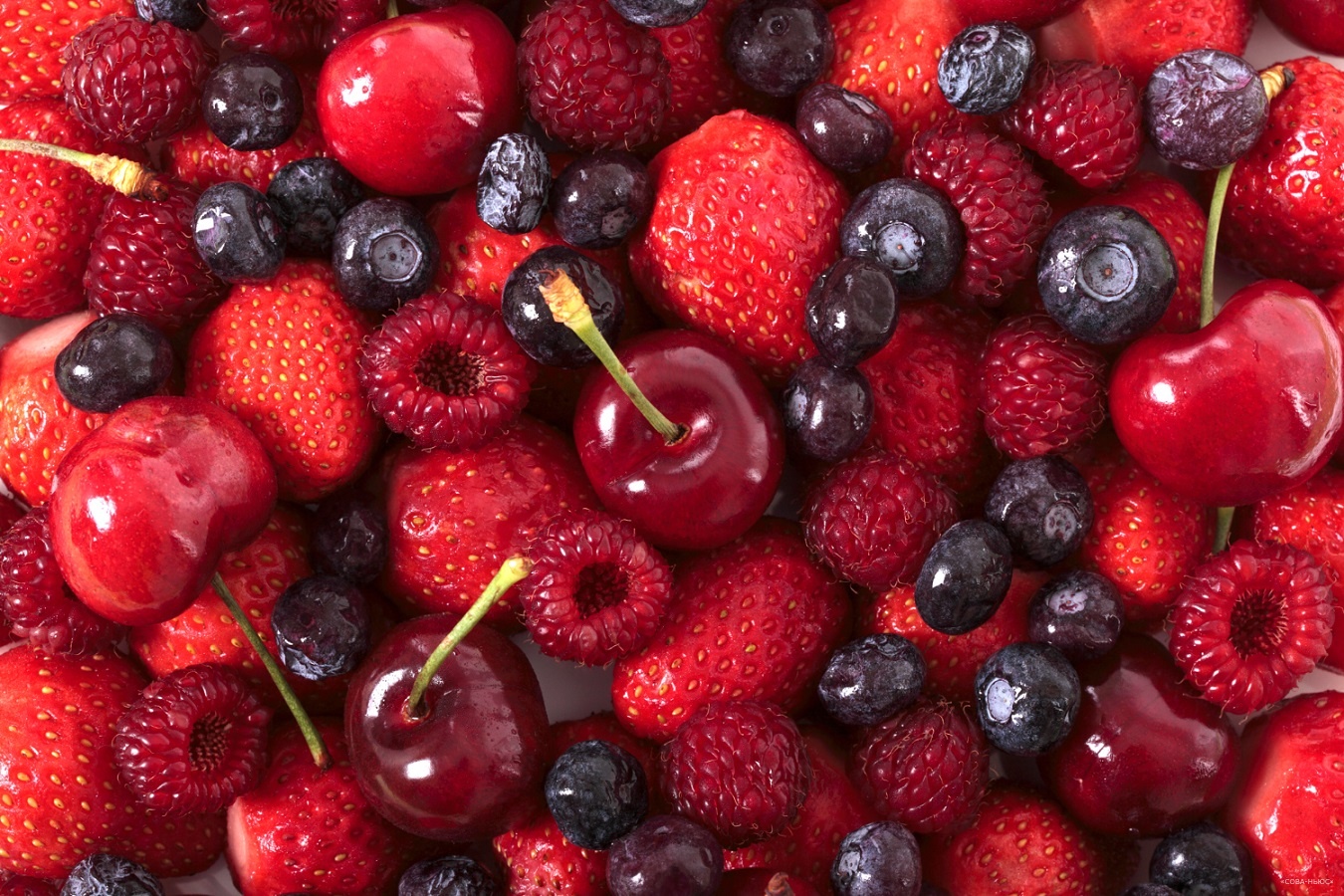 В России в ушедшем году собрали рекордный урожай плодов и ягод