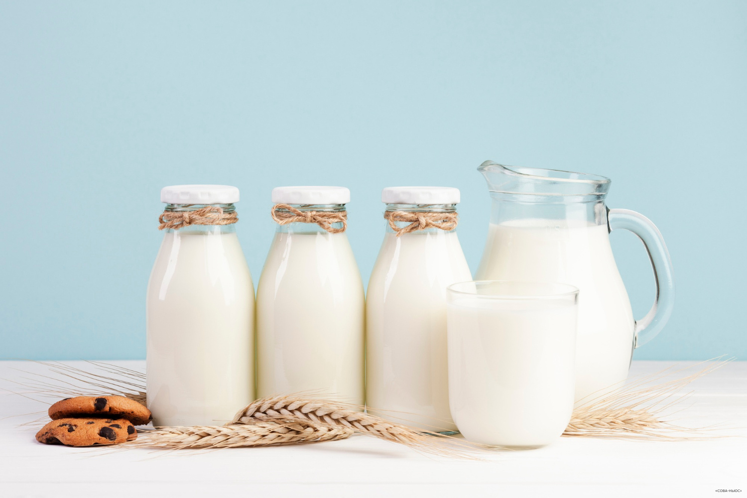 В РФ сократились продажи растительных аналогов молока
