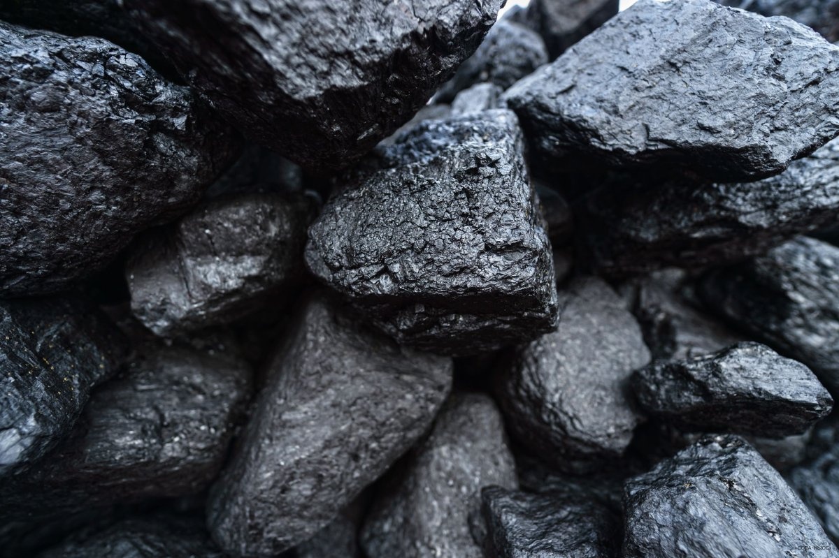 На Таймыре планируют развивать месторождение самого дорогого вида угля