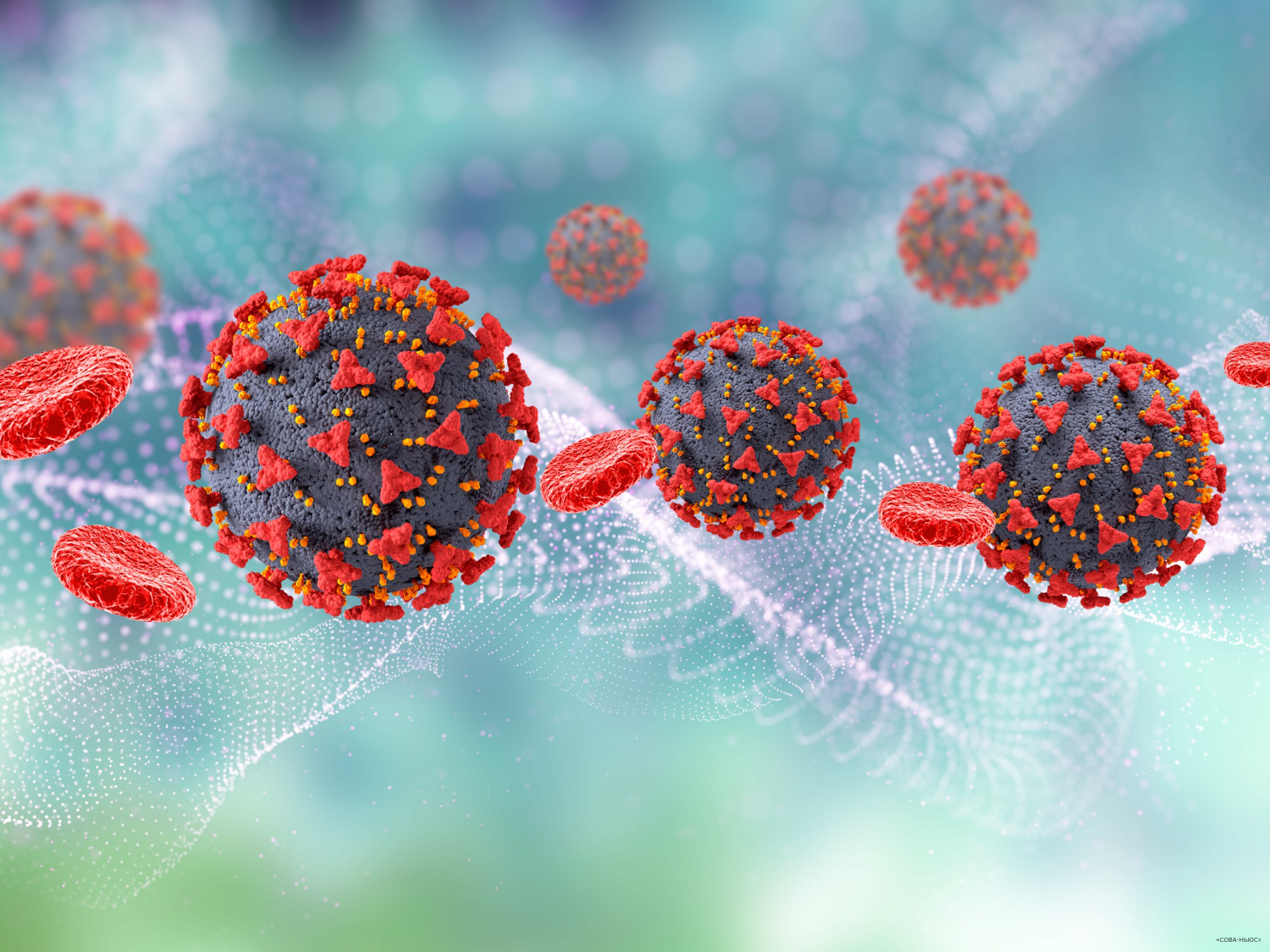 В ВОЗ ожидают завершения пандемии коронавируса в 2023 году