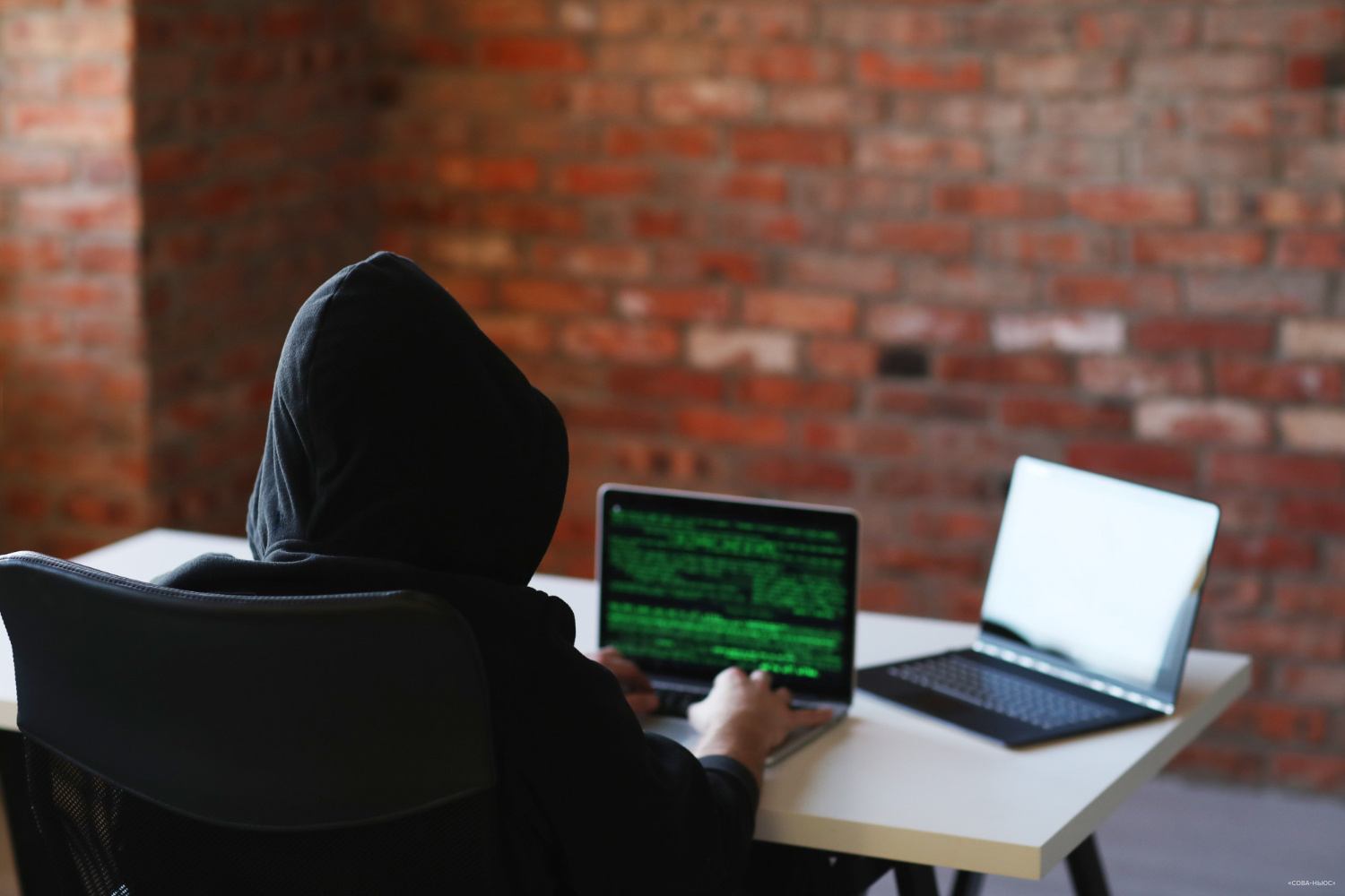 Более 60% российских компаний сталкиваются с угрозами кибербезопасности от своих системных администраторов