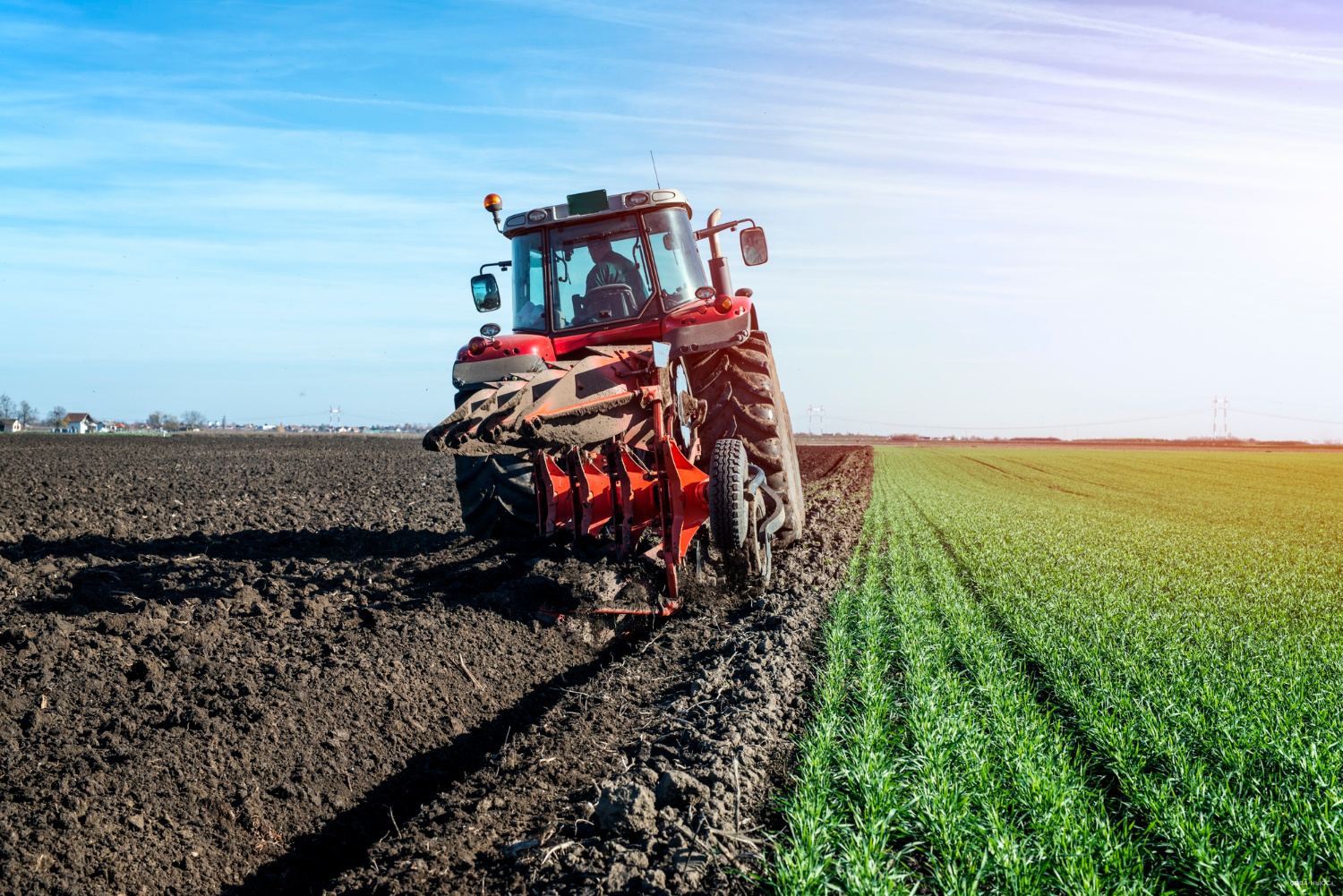 Компания "Черкизово" увеличит посевы зерна и масличных культур почти до 225 тысяч гектаров