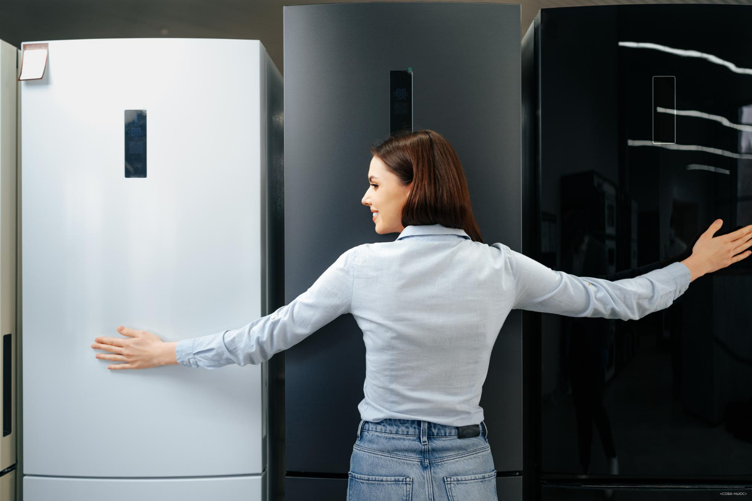 Россияне стали активнее приобретать белорусские холодильники