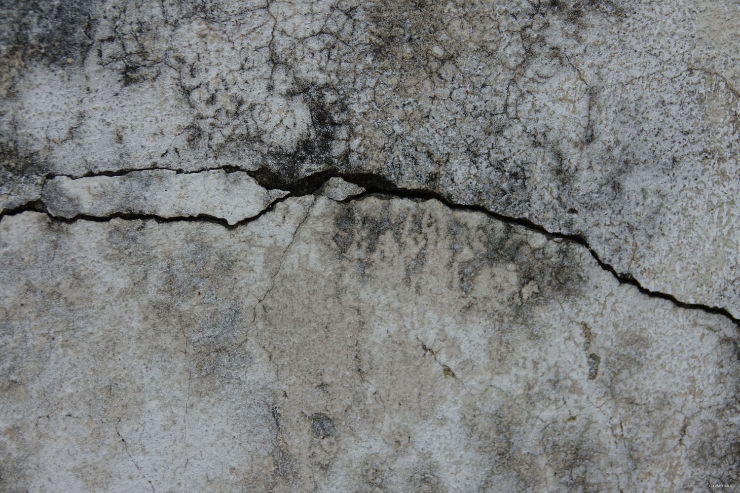На Камчатке произошла серия землетрясений