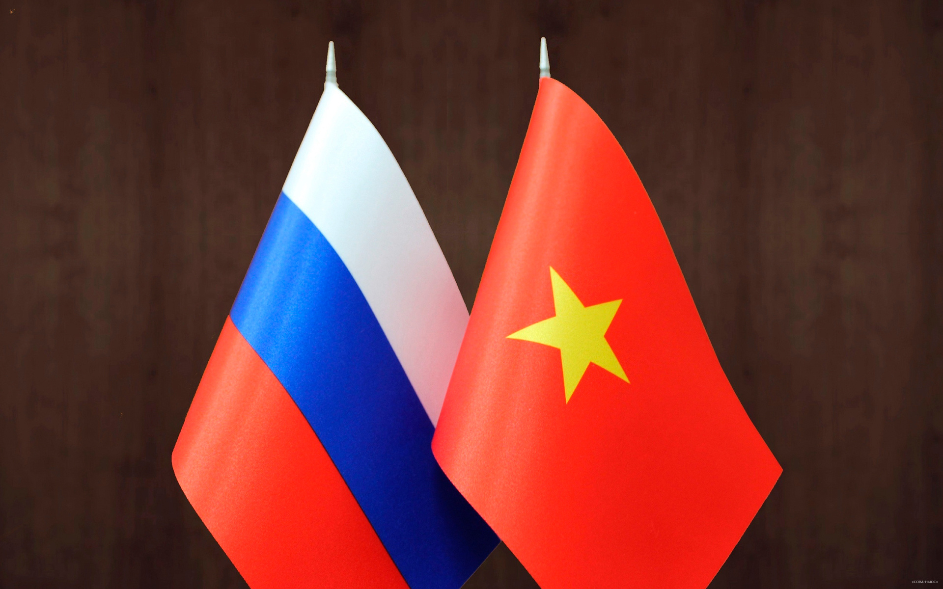 Чернышенко: товарооборот между РФ и Вьетнамом достигнет $10 млрд