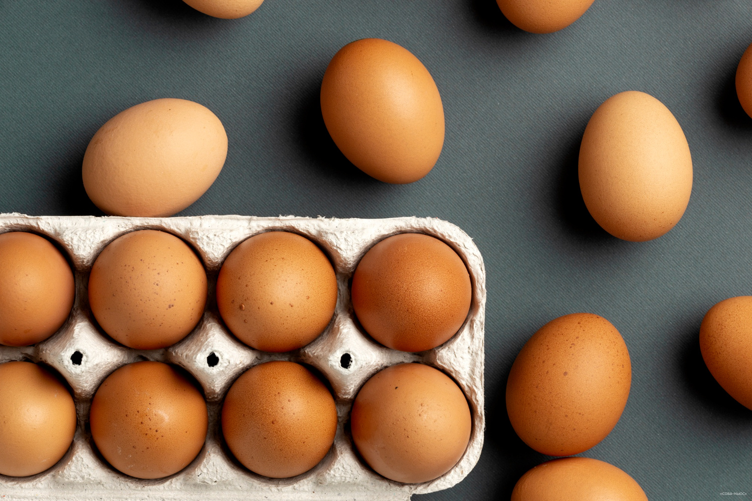 Российские регионы вводят ограничения на покупку яиц в регионах РФ из-за роста цен