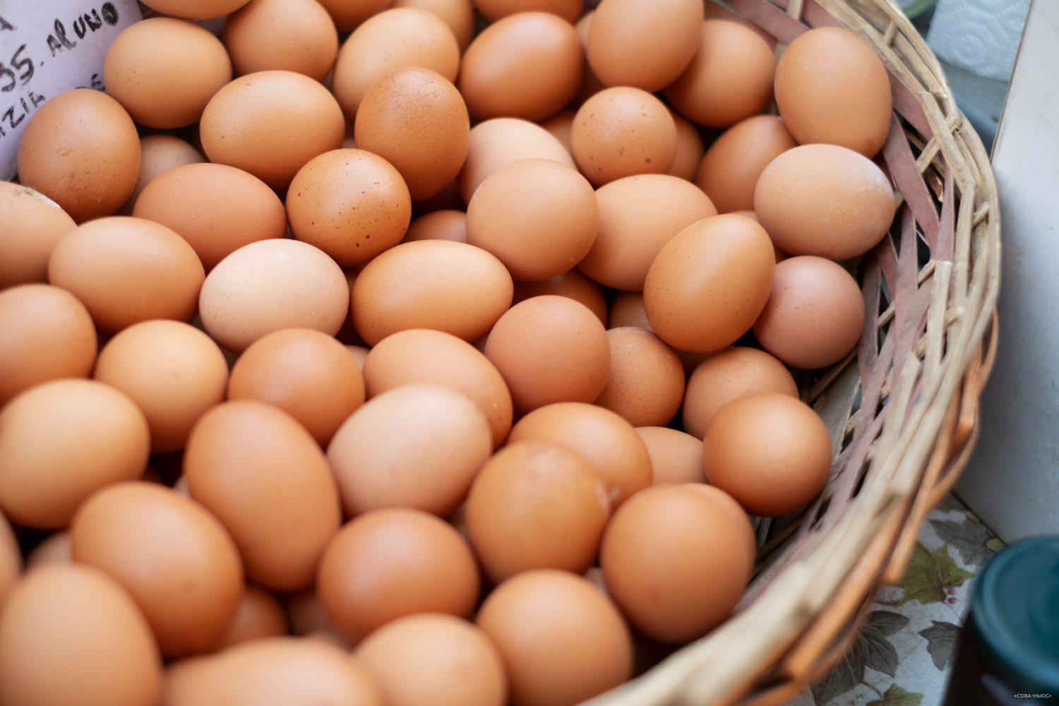 Россия ожидает первые поставки куриного яйца из Азербайджана и Турции
