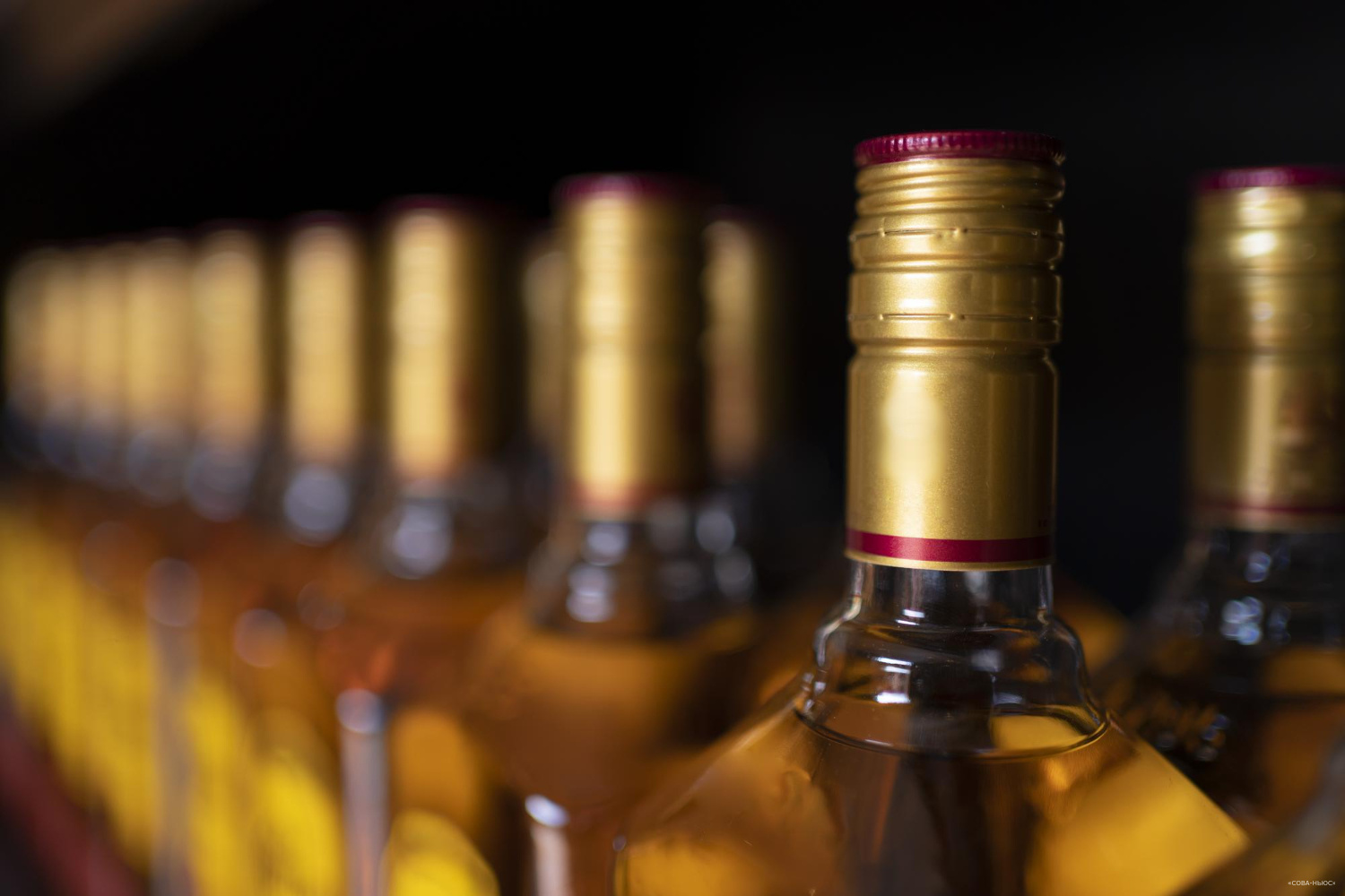 Производство алкоголя в России за два месяца 2024 года выросло на 11%